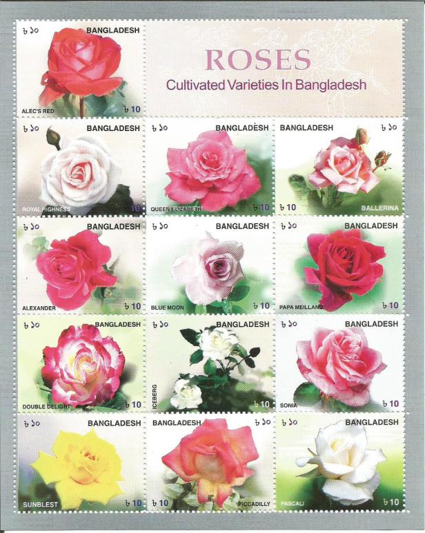 ROSES BANGLADESH