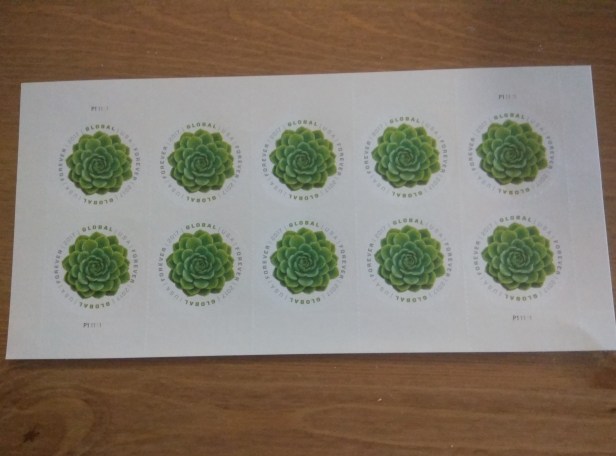 GREEN SUCCULENT STAMP