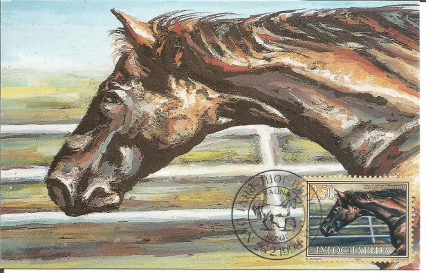 YUGOSLAVIA MAXIM CARD HORSE