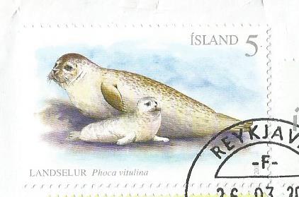 ICELAND SEAL