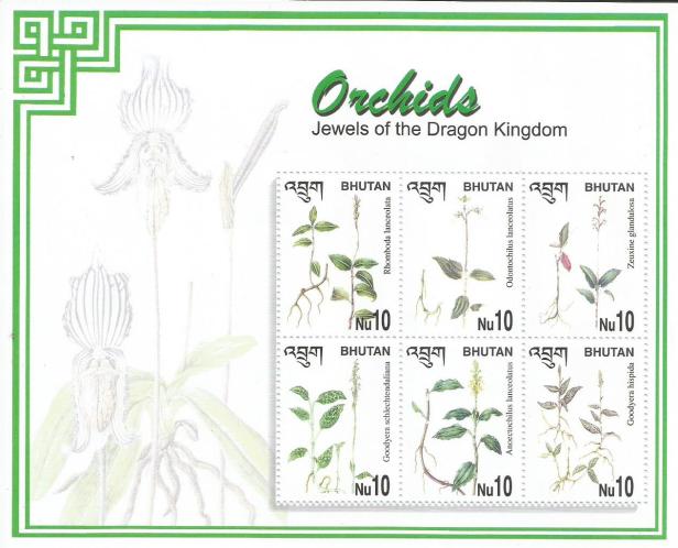BHUTAN ORCHIDS MS