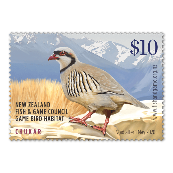 NZ CHUKAR 2019