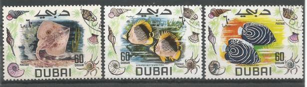 DUBAI FISHES 1