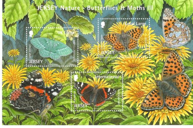 JERSEY MS BUTTERFLIES
