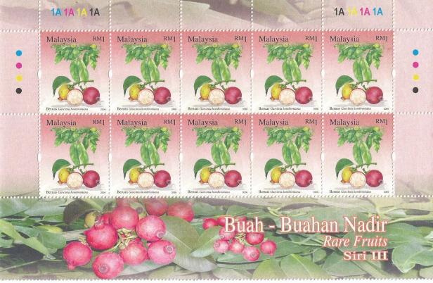 MALAYSIA RARE FRUITS 2