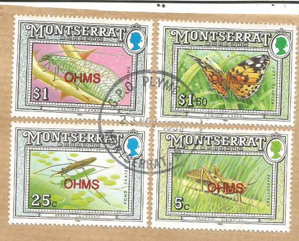 MONTSERRAT BUTTERFLIES