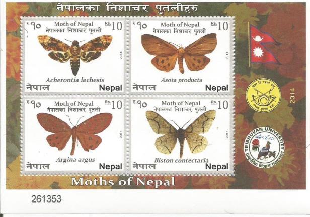 NEPAL MS 2014 MOTHS 1
