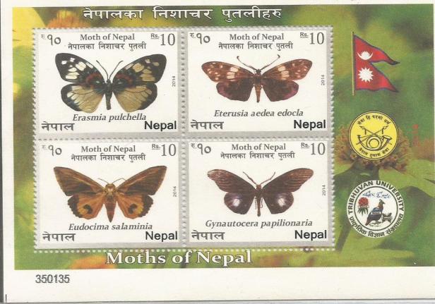 NEPAL MS 2014 MOTHS 2
