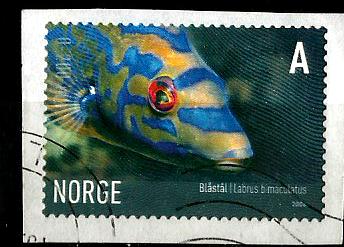 NORWAY FISH A