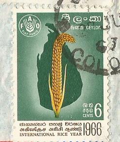 SRI LANKA RICE YEAR 1