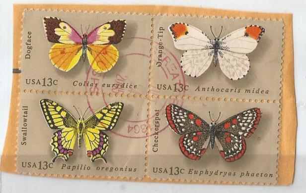USA BUTTERFLIES