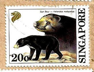 SINGAPORE BEAR
