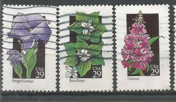 USA FLOWERS 1992 3