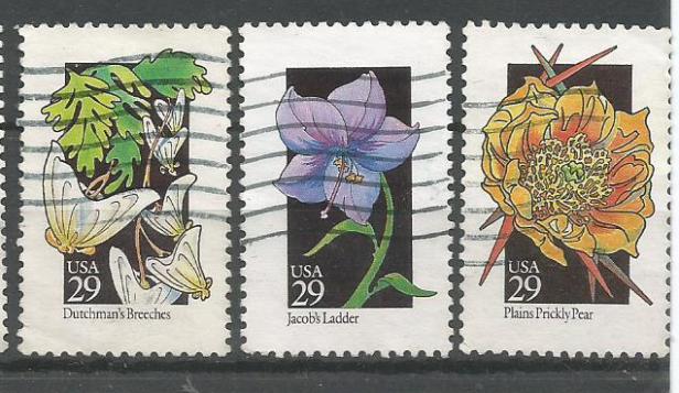 USA FLOWERS 1992 4