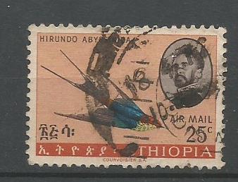 ETHIOPIA BIRDS 4