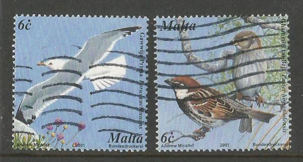 MALTA BIRDS