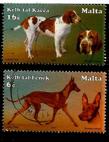 MALTA DOGS