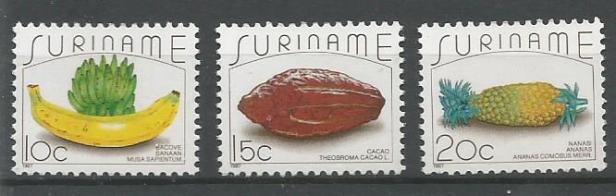SURINAME FRUITS 1