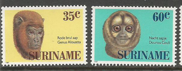 SURINAME MONKEYS 1