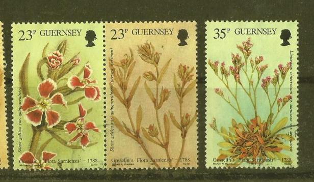 GUERNSEY FLOWERS2
