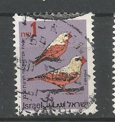 ISRAEL SONG BIRD