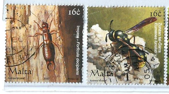 MALTA INSECTS 3