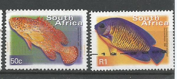 SA FISHES4