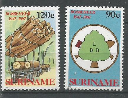 SURINAM FORESTRY