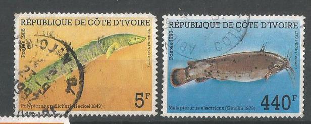 IVORY COAST FISHES