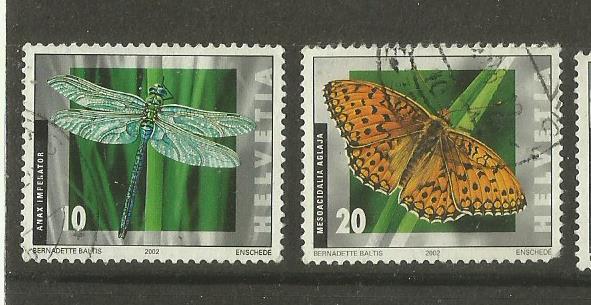 SWITZERLAND INSECTS 1