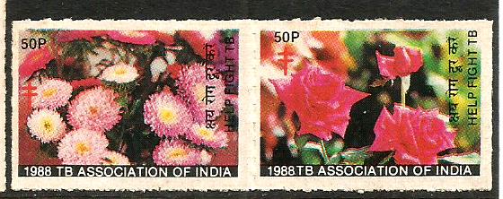 INDIA TB SEALS 1988