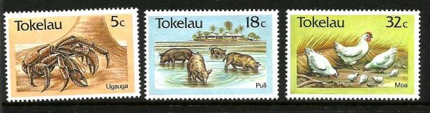 TOKELAU FAUNA 1