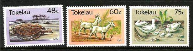 TOKELAU FAUNA 2