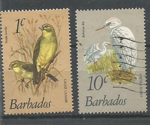 BARBADOS BIRDS 1