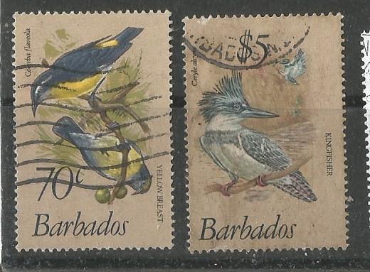 BARBADOS BIRDS 3
