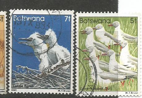 BOTSWANA BIRDS 3