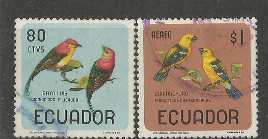 ECUADOR BIRDS 1