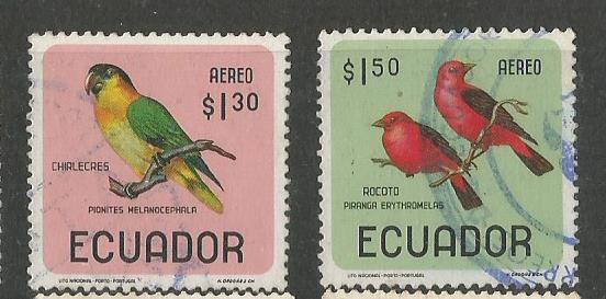 ECUADOR BIRDS 2