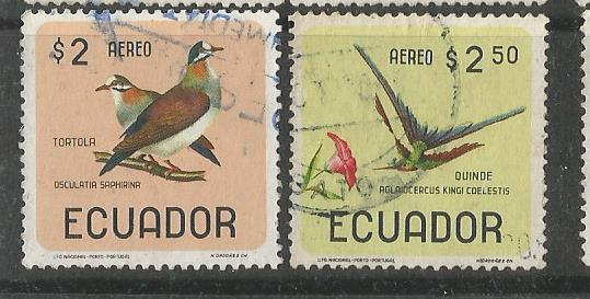 ECUADOR BIRDS 3