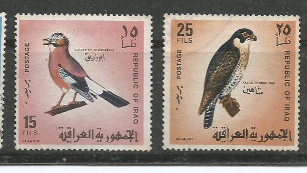 IRAQ BIRDS 2
