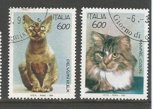 ITALY CATS 2