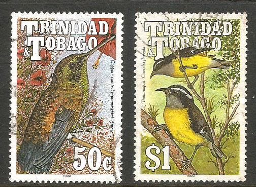 TRINIDAD BIRDS 2