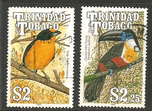TRINIDAD BIRDS 3