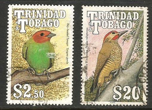 TRINIDAD BIRDS 4