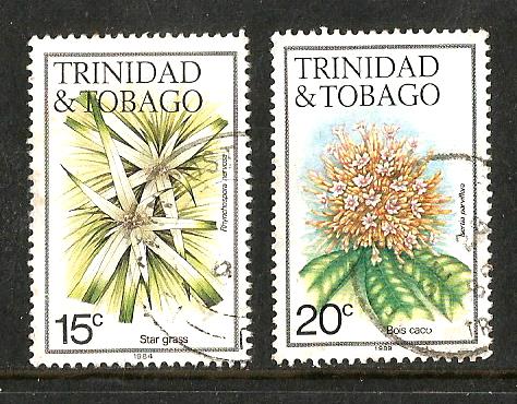 TRINIDAD FLOWERS 2