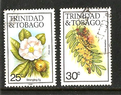 TRINIDAD FLOWERS 3