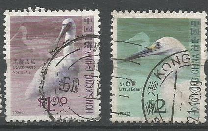 HONG KONG BIRDS 3