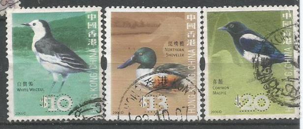 HONG KONG BIRDS 5