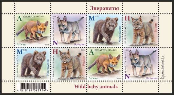 Belarus Wild Baby Animals