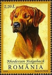 Dog Breeds – Romania 2005 – Stamp Digest